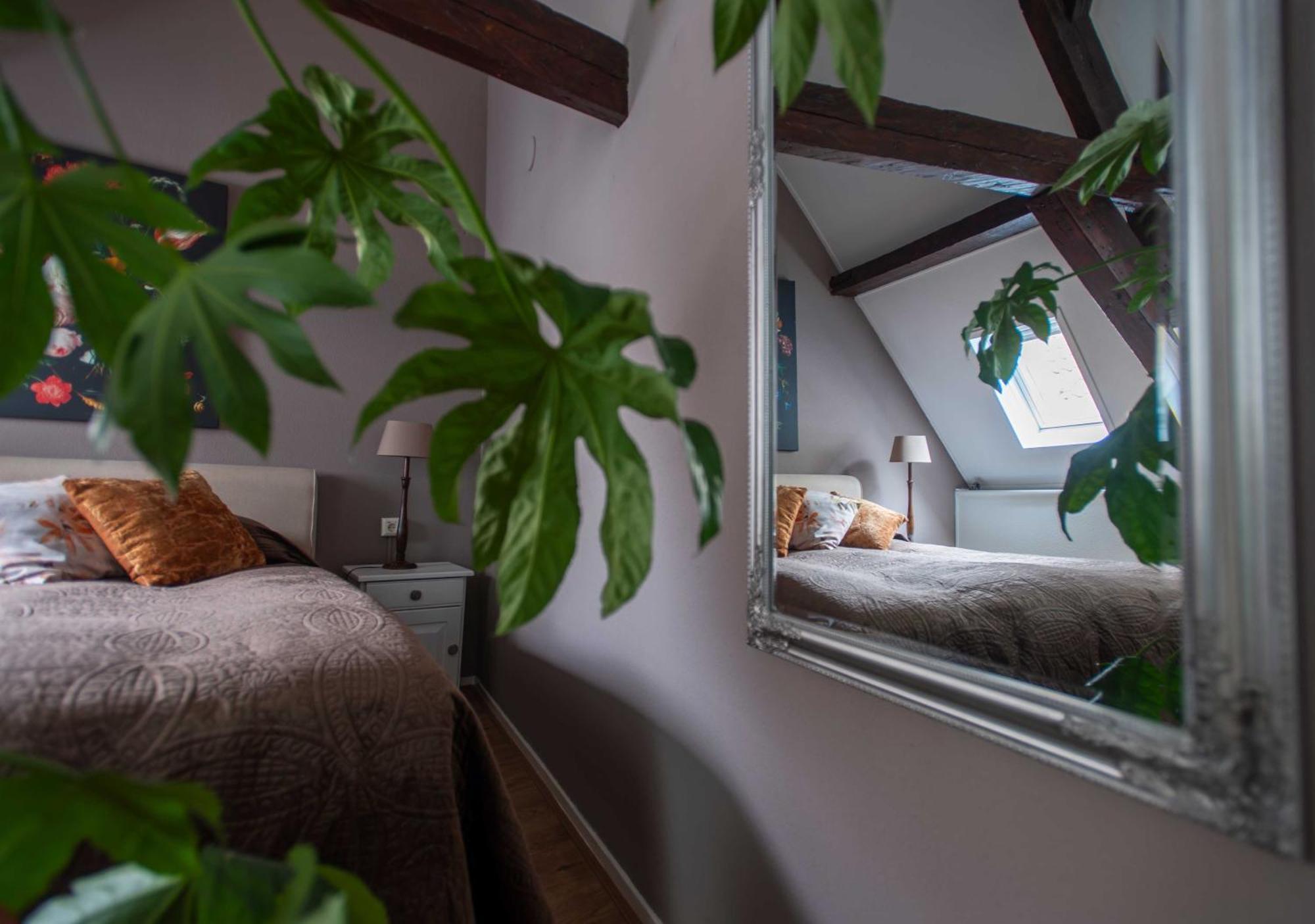 B&B De Zilveren Reiger Middelburg Esterno foto